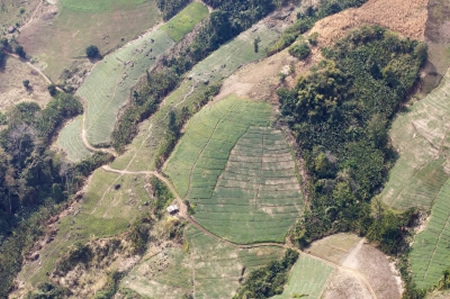 La déforestation en France